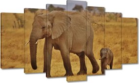 Vászonkép 140x80 Elefánt az anyjával