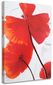 Gario Vászonkép Vörös pipacsok világos háttéren Méret: 40 x 60 cm