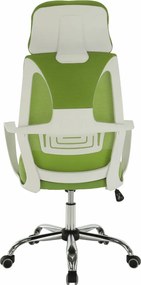 Irodai szék, zöld/fehér, TAXIS