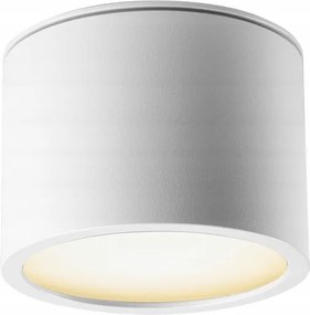 Fürdőszobai mennyezeti lámpa plafon spot cső Bath fehér Led izzó