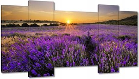 Vászonkép 120x65 Levendula tájkép Nap