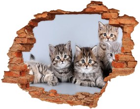 Fali matrica lyuk a falban Öt macskák nd-c-75950374