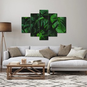 Monstery levelek képe (150x105 cm)