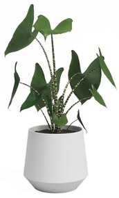 Kerámia virágcserép ø 20 cm Aurora – Artevasi