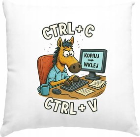 Programozó párna Informatika Ajándék ötlet Fehér