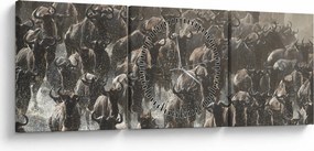 Kép - Gnúcsorda (órával) (90x30 cm)