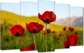 Vászonkép 100x60 Piros pipacs Virágok Hegyek