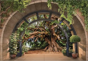 Fotótapéta Kőerdő Kilátás A természet perspektívája a szobába 400x280 +ragasztó