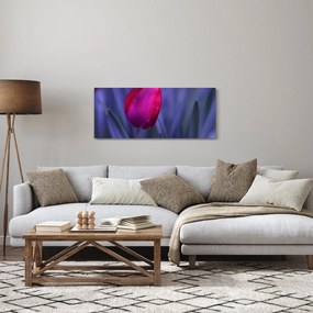 Tulipán bimbó képe (120x50 cm)