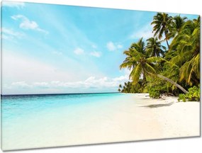 Vászonkép 120x80 Trópusok Tájkép Pálmafák