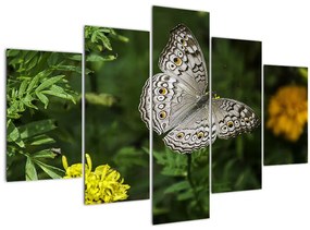 Kép - fehér pillangó (150x105 cm)