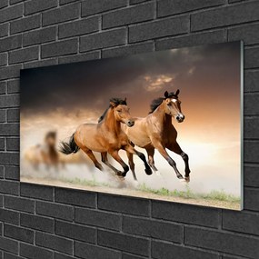Modern üvegkép lovak Állatok 125x50 cm