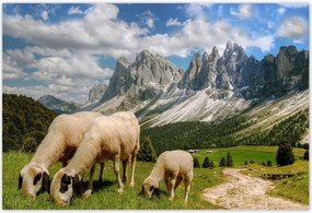 Poszterek 185x125 Hegyek Juh legeltetés