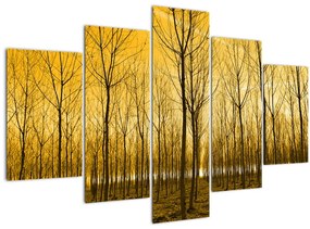 Egy erdő naplementekor képe (150x105 cm)
