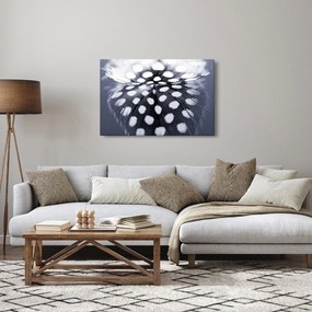 Kép - Toll (90x60 cm)