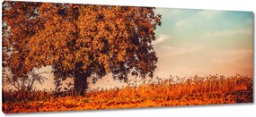 Festmények 100x40 Jessiene színek Tájkép