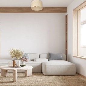 Felületre szerelhető csillár RATTAN 3xE27/60W/230V rattan