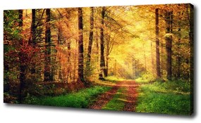 Vászon nyomtatás Erdő ősszel oc-91078750