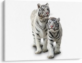 Kép - A fehér tigris (70x50 cm)