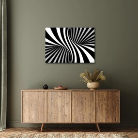 Absztrakt kép zebra csíkokkal (70x50 cm)