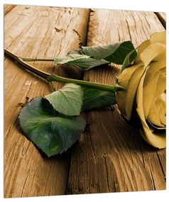 Rózsa kép (30x30 cm)