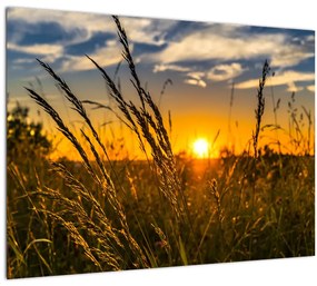 A mező naplementekor képe (üvegen) (70x50 cm)