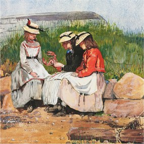 Fotótapéta Flizelin Dekoratív az irodába Nyári pihenés 250x250 Ragasztó