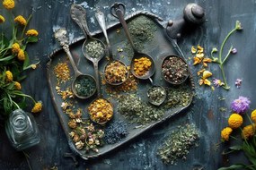 Vászonkép Canvas Konyha Főzés Étel Fűszerek Gyógynövények 60x40