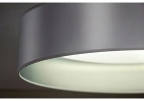 Duolla - LED Mennyezeti lámpa ROLLER LED/24W/230V átm. 45 cm ezüst