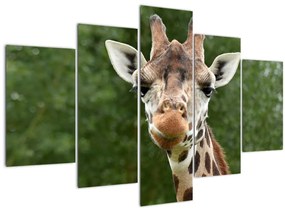 Egy zsiráf képe (150x105 cm)