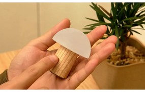 Natúr színű kőrisfa LED dimmelhető asztali lámpa (magasság 7 cm) Alice – Gingko
