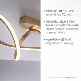 Paul Neuhaus modern mennyezeti lámpa maria matt sárgaréz pln15403-60