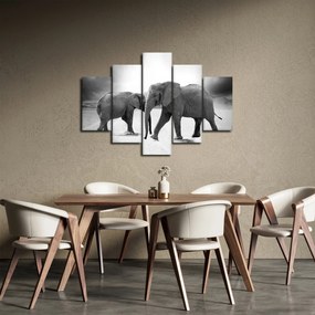 Kép - fekete fehér elefántok (150x105 cm)