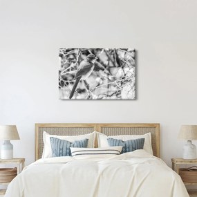 Kép - Kék madár télen (90x60 cm)