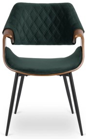 Elegáns Bársony Étkezőszék Zöld/Dió Színben. DAKOTA