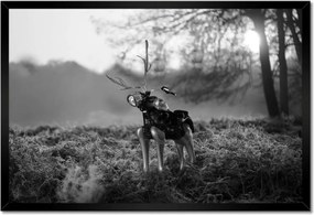 Poszterek keretben 60x40 Szarvas Modern művészet