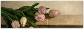 Poszterek 200x66 Rózsaszín tulipán csokor