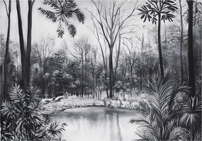 Fotótapéta Erdő Fekete-fehér Természet Hálószoba Nappali Tapéta Flizelina 400x280