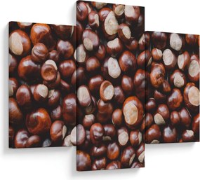 Kép - Érett gesztenye (90x60 cm)