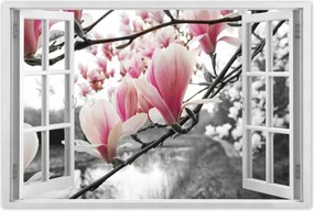 Poszterek 60x40 Magnólia Virágok