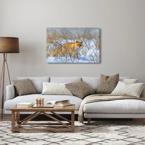 Kép - Róka (90x60 cm)