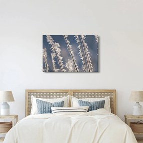 Kép - Fagy (90x60 cm)