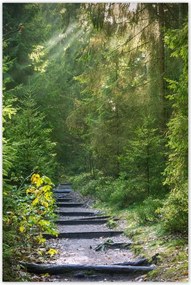 Poszterek 60x90 Tájkép