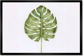Poszter keretben 60x40 Monsera levél lyukas