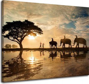 Vászonkép Emberek az elefántokon Naplemente Afrika Szavanna 100x80 cm