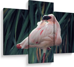 Kép - Flamingó (90x60 cm)