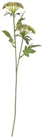 Műnövény (magasság 49 cm) Throatwort – Bloomingville