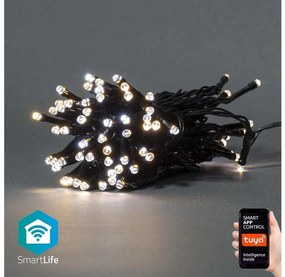 Nedis Nedis WIFILX02W50 - LED Karácsonyi lánc 50xLED/8 funckció 10m IP65 Wi-Fi Tuya NE0501