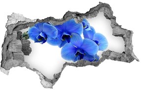Lyuk 3d fali matrica Kék orchidea nd-b-91549599
