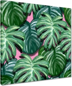 Vászonkép 40x40 Monstera Levelek levél